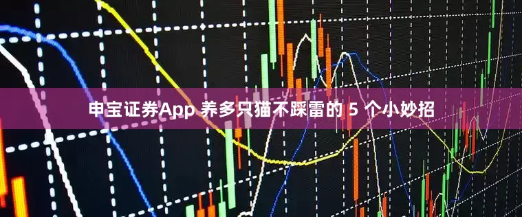 申宝证券App 养多只猫不踩雷的 5 个小妙招