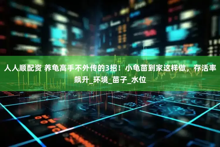 人人顺配资 养龟高手不外传的3招！小龟苗到家这样做，存活率飙升_环境_苗子_水位
