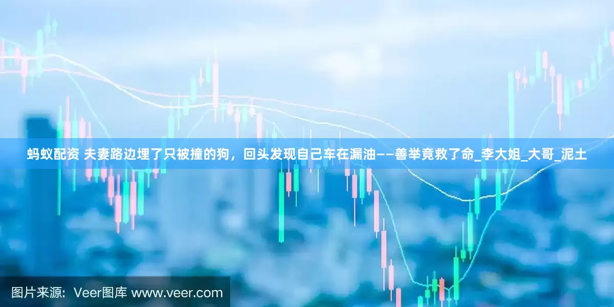 蚂蚁配资 夫妻路边埋了只被撞的狗，回头发现自己车在漏油——善举竟救了命_李大姐_大哥_泥土